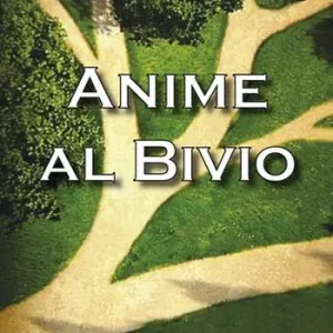 Anime al bivio Vendita Finale