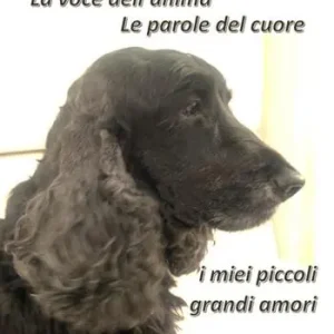 Compra Online La voce dell‘anima. Le parole del cuore. I miei piccoli grandi amori