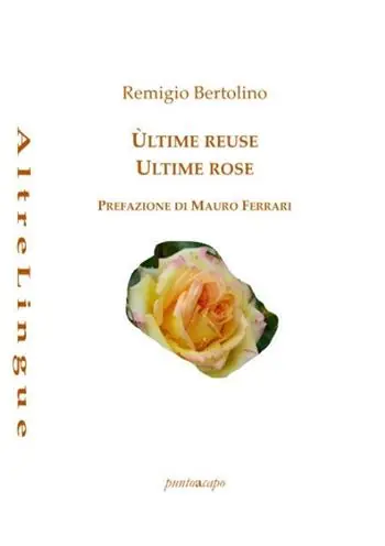 Ordina Subito Ùltime reuse. Ultime rose