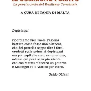 Saldi Il gommone forato. La poesia civile del Realismo Terminale