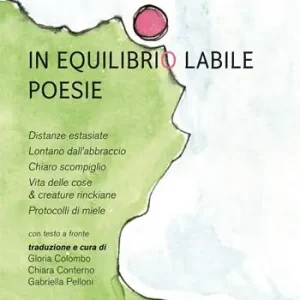 In equilibrio labile. Testo tedesco a fronte. Ediz. bilingue Ultime Pezzi