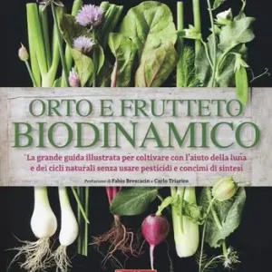 Nuovo Arrivo Orto e frutteto biodinamico