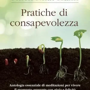 Pratiche di consapevolezza. Antologia essenziale di meditazioni per vivere il momento presente con gioia e felicità Offerta Limitata