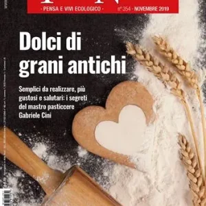 Affare Terra nuova (2019). Vol. 11 Novembre