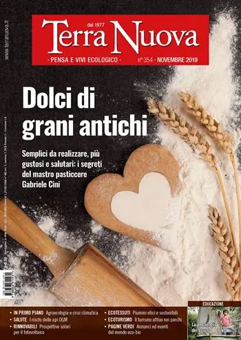 Affare Terra nuova (2019). Vol. 11 Novembre