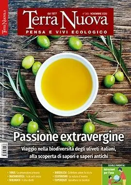 Offerta Lampo Terra nuova (2020). Vol. 10 Novembre