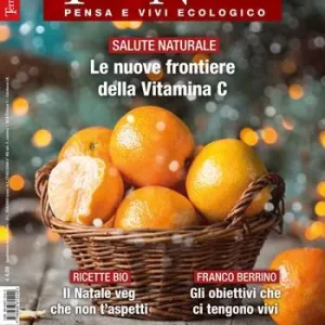 Spedizione Espresso Terra nuova (2020). Vol. 11 Dicembre