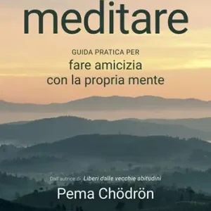 Ordina Subito Come meditare. Guida pratica per fare amicizia con la propria mente