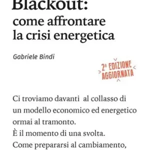 Blackout. Come affrontare la crisi energetica Professionale