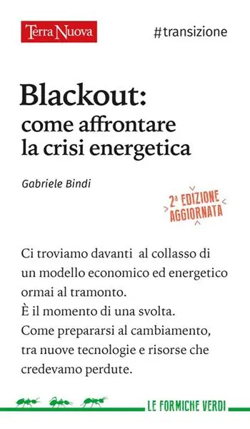 Blackout. Come affrontare la crisi energetica Professionale