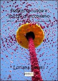 Quantità Limitata Pizzichi di nuvole e spicchi di arcobaleno. Quando i pensieri si animano, la danza ha inizio