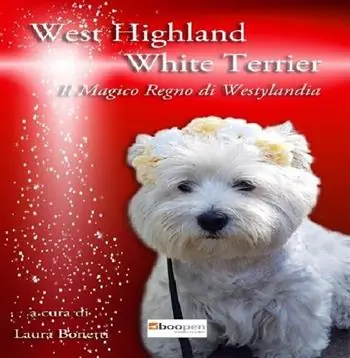 Subito Disponibile West highland white terrier. Il magico regno di Westylandia