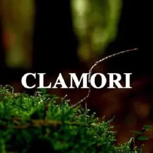 A Buon Prezzo Clamori