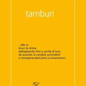 Consegna Rapida Tamburi