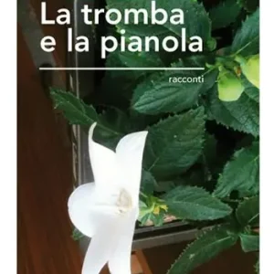 La tromba e la pianola Ultime Pezzi