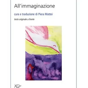 All’immaginazione. Ediz. italiana e inglese Direttamente Dal Produttore