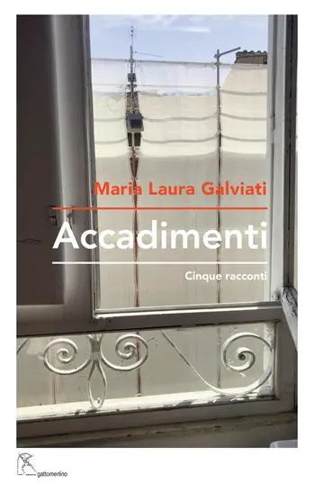 Accadimenti. Cinque racconti Offerta Lampo