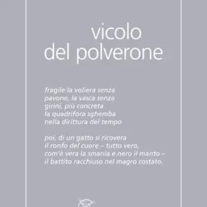 Solo Oggi Vicolo del Polverone. Appunti a Roma. Ediz. integrale