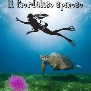 Acquista Ora Il fiordaliso spinoso