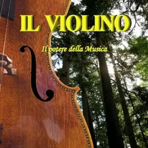 Il violino. Il potere della musica Consegna Rapida