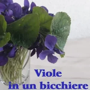 Viole in un bicchiere Ultimissimo Modello